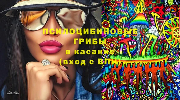 прущие крисы Алзамай